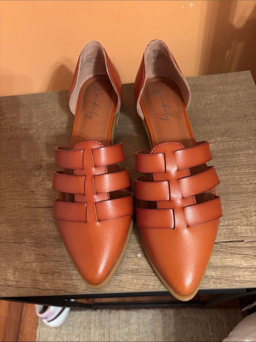 Wonderly Women's Pointed Toe Strappy Flats in Burnt Orange